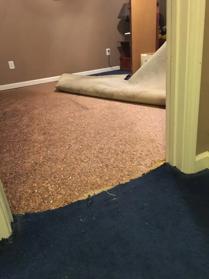 Carpet pad removal revealing water damage during Drying & Dehumidification in East Hanover